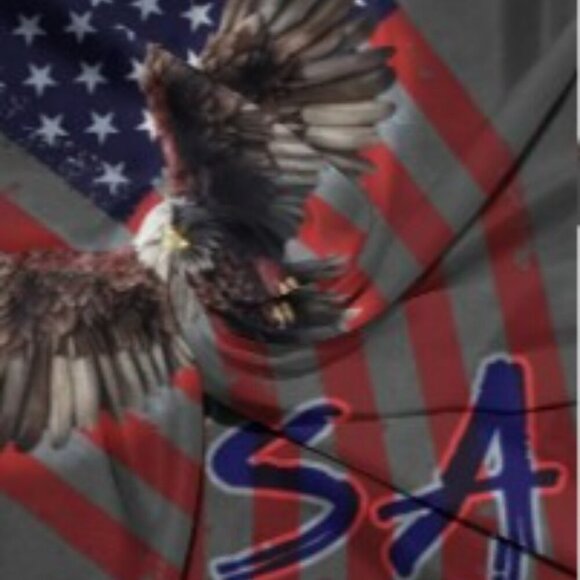 Eagle & Flag All-Season T-Shirt Stretch Comfort & Regular Fit Men's size Large - Picture 4 of 7